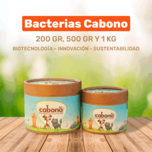 BACTERIAS CABONO