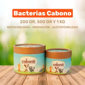 BACTERIAS CABONO